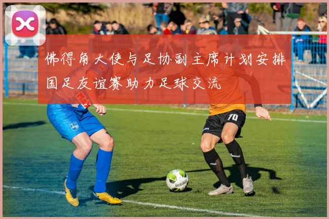 佛得角大使与足协副主席计划安排国足友谊赛助力足球交流