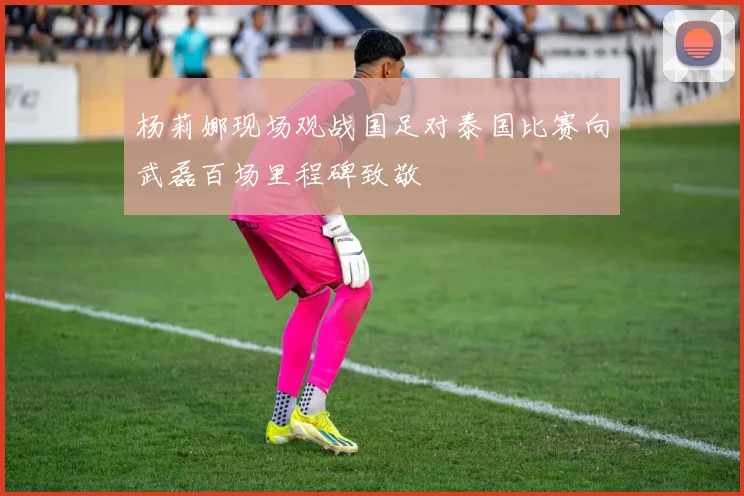 杨莉娜现场观战国足对泰国比赛向武磊百场里程碑致敬