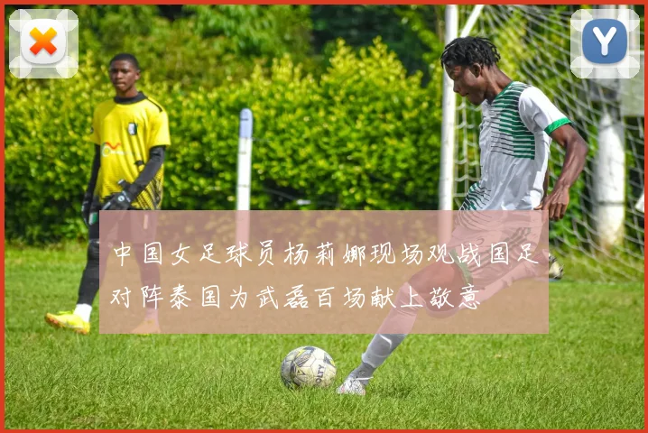 中国女足球员杨莉娜现场观战国足对阵泰国为武磊百场献上敬意